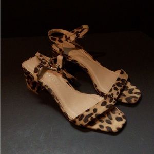 Topshop Tiger Shoes size 7.5